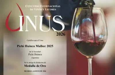 El sabor de La Pampa que conquistó al mundo: 26 medallas para sus bodegas