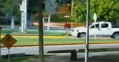 Las cámaras del CEO captaron algo inusual en una camioneta: lo que pasó después sorprendió a todos