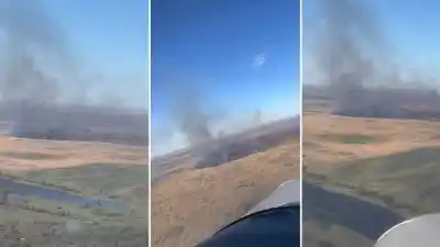 Incendios en las islas del Paraná: en solo 4 días arrasaron más de 1.700 hectáreas