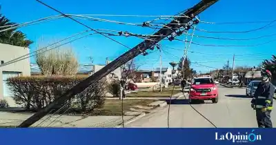 Un corte de luz inesperado: la poda que complicó a todo un barrio