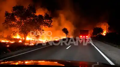 Preocupación en la Ruta 34: un incendio de pastizales complicó la circulación cerca de Fernández