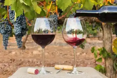 Un pueblo de La Pampa reunirá a todas las bodegas provinciales en una cata de vinos premiados