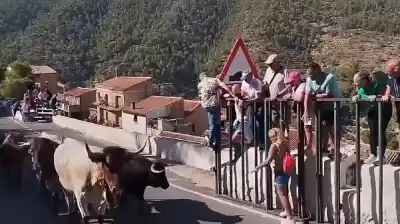 Murió una mujer tras ser embestida por un toro en un encierro en España