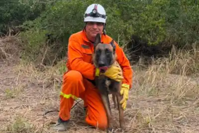 Un sargento santiagueño y su perro Argos se quedaron con el primer puesto en una competencia nacional