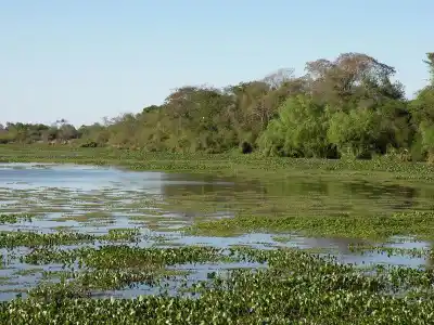 Monte Caseros otra vez bajo las cenizas: el humo de Bella Unión que cruza la frontera