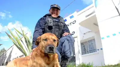El perro que se convirtió en bicipolicía y eligió su propia comisaría en Neuquén