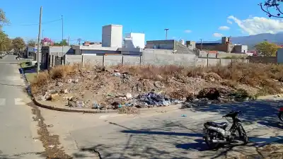 El 80% de los reclamos ambientales en la Capital apunta a dos problemas puntuales
