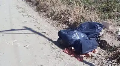 Huesos y restos de animales aparecen en un camino: ¿qué hay detrás de los basurales clandestinos?