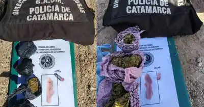 Los frenaron en un control de ruta y encontraron algo que no esperaban