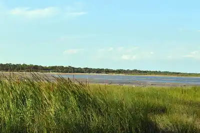 Convocan a voluntarios para limpiar las costas de la laguna del Plata