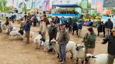El reclamo que cruzó todos los discursos en la apertura de la Expo Rural