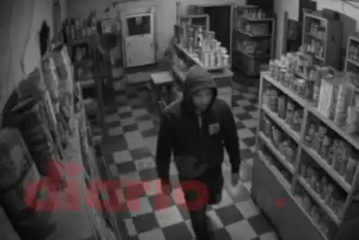 Robaron medio millón de pesos de un comercio y las cámaras captaron al ladrón
