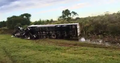 Caos en la autopista: un camión con ganado volcó y dejó animales sueltos en plena ruta