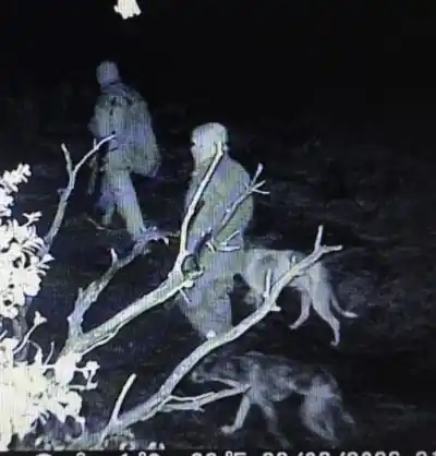 La cacería ilegal en Chubut se topó con un operativo que no esperaban
