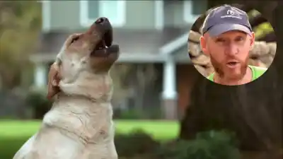El error que casi todos cometen con su perro cuando ladra y que empeora todo