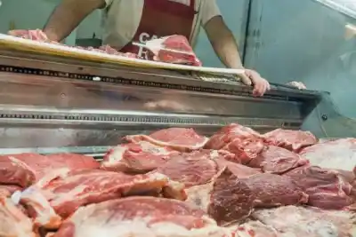 Se llevaron 10 kilos de carne y cuchillos: el detalle que delató a los ladrones