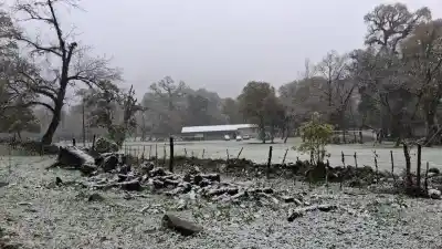 El sur tucumano amaneció bajo nieve: las postales que sorprendieron a todos