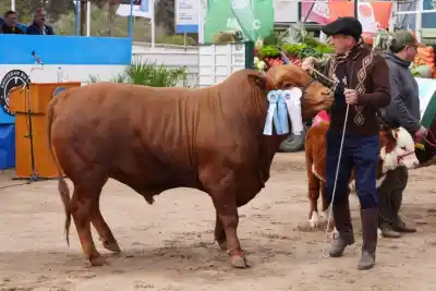 El frío amenaza la despedida de la Expo Rural de Río Cuarto