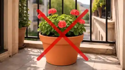 Jardinería 2026: El secreto que está enterrando a las macetas tradicionales