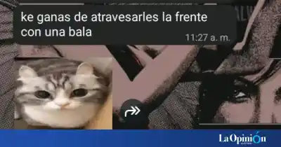 Planeaba un tiroteo en su escuela y tenía una lista de compañeros: el hallazgo que la delató