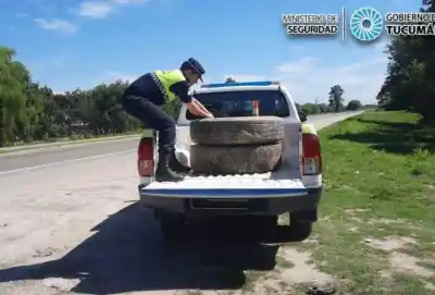 Recuperan ruedas robadas en León Rouges