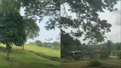 Colombia en vilo: un avión militar con 125 ocupantes se desploma apenas despegar
