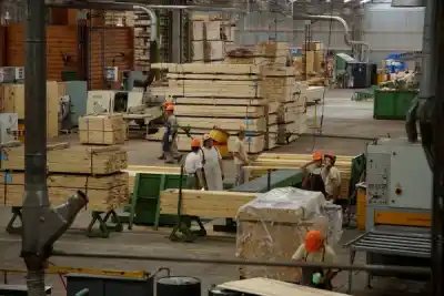 El Grupo Insud desafía la crisis y apuesta 20 millones de dólares a la primera fábrica de madera contralaminada del país