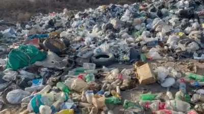 Le ordenaron dejar de acumular basura y chatarra, pero siguió: la Justicia no lo dejó pasar