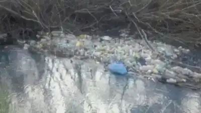 Apareció sin vida el nene que cayó a un canal de riego en Río Negro: el hallazgo que conmocionó a Fernández Oro