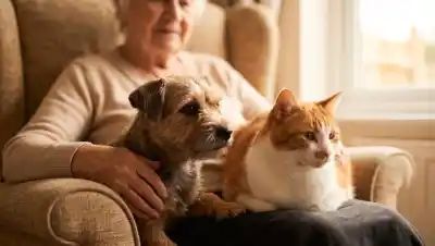 Quieren que los adultos mayores no se separen de sus mascotas al entrar a un geriátrico