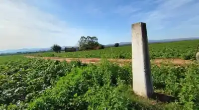 La sombra de un municipio salteño detrás de una usurpación en la frontera con Bolivia