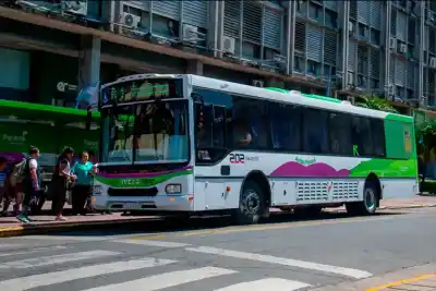 Cambian los recorridos de dos colectivos en Paraná: qué calles se ven afectadas