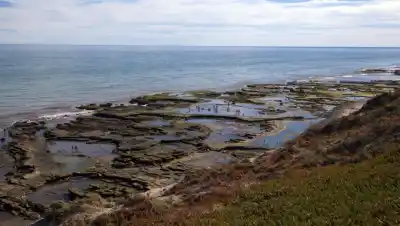 El balneario de Río Negro donde las luces del cielo compiten con los lobos marinos