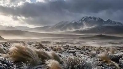 Doble alerta meteorológica en Jujuy: qué zonas alcanza y hasta cuándo seguirá el frío extremo