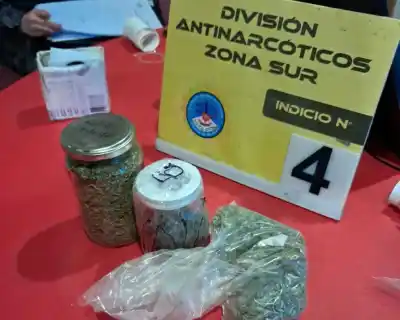 Cayó "la pastelera": vendía droga en un monoambiente de Villa La Angostura y le secuestraron más de 100 dosis