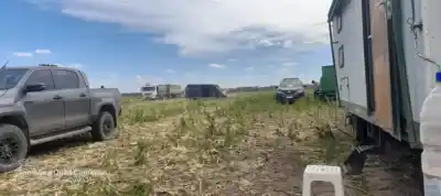 Un operativo frenó en Santiago del Estero la salida de un cargamento de maíz valuado en $223 millones