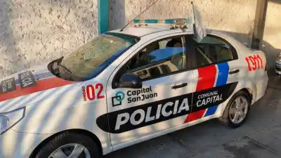 Casi los linchan por robar en un auto y terminaron a las piñas dentro del patrullero