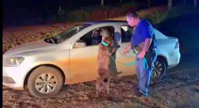 Sorprendió a todos en un control: el olfato canino destapó algo inesperado