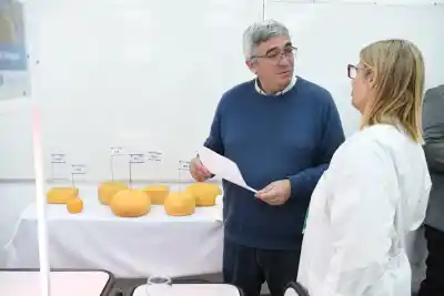 Fiesta del Tambero en Navarro: La celebración que esconde una crisis que dejó sin trabajo a cientos