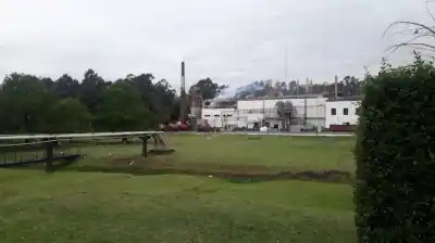 El Gobierno frenó los 1200 despidos en Granja Tres Arroyos: qué pasa ahora