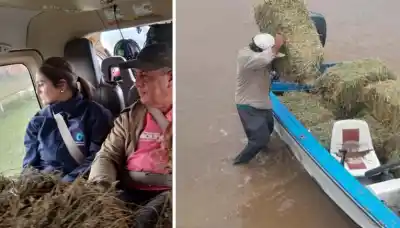 Rescate aéreo en Tucumán: Lanzan alimento desde helicópteros para animales atrapados en el barro