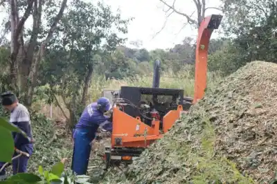 Oberá cambió la poda por un sistema que convierte las ramas en algo útil