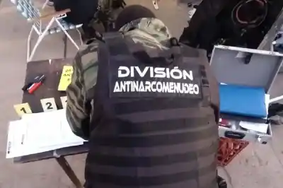 Un mes de seguimiento y un allanamiento en Plottier terminó con dos detenidos