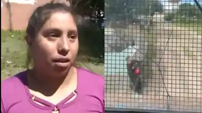La madre del niño rescatado en Córdoba revela el instante de terror: “No sabía cómo reaccionar”