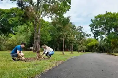 Posadas se prepara para recibir un congreso internacional sobre arbolado urbano
