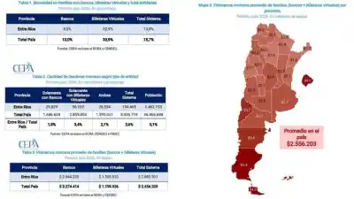 El alarmante dato de las billeteras virtuales que esconde la baja morosidad de Entre Ríos