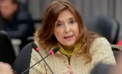 El debate por el bebé de Rancul: qué dice la ley sobre adopción y contención