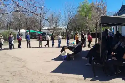 Huerta en casa: el plan gratis que llega a San Luis y Villa Mercedes