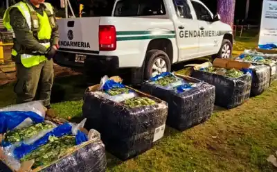 Detectaron algo sospechoso en ocho bultos que iban de Orán a Buenos Aires