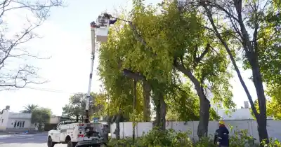 General Alvear activa un comité de crisis y refuerza desagües, árboles y caminos ante el Súper Niño